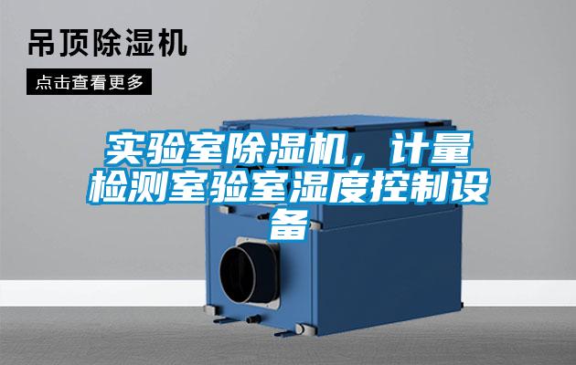 国产精品欧美激情视频 实验室除湿机，计量检测室验室湿度控制设备