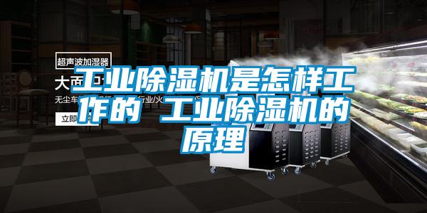 国产精品欧美激情视频 工业除湿机是怎样工作的 工业除湿机的原理