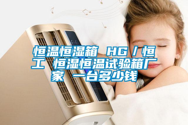 国产精品三级在线观看 恒温恒湿箱 HG／恒工 恒湿恒温试验箱厂家 一台多少钱
