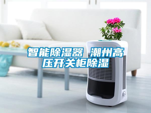 国产精品三级在线观看 智能除湿器 潮州高压开关柜除湿
