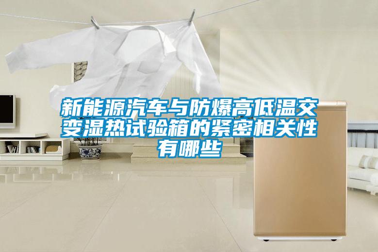 国产精品欧美激情视频 新能源汽车与防爆高低温交变湿热试验箱的紧密相关性有哪些
