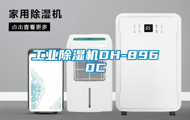 国产精品三级在线观看 工业除湿机DH-8960C