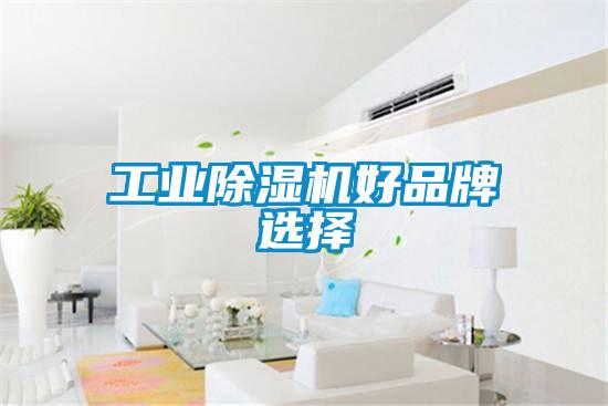 国产精品三级在线观看 工业除湿机好品牌选择
