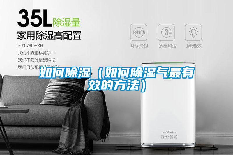 国产精品三级在线观看 如何除湿（如何除湿气最有效的方法）