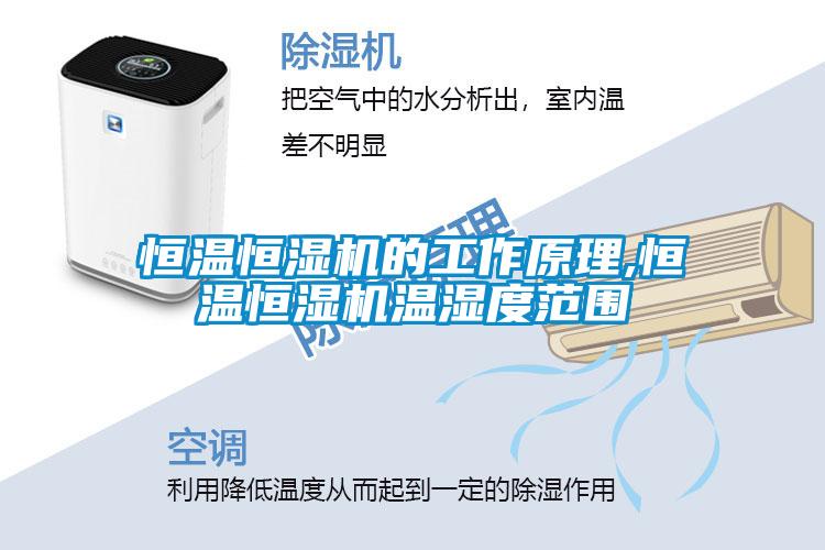国产精品三级在线观看 恒温恒湿机的工作原理,恒温恒湿机温湿度范围
