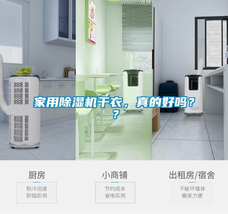 国产精品三级在线观看 家用除湿机干衣，真的好吗？？