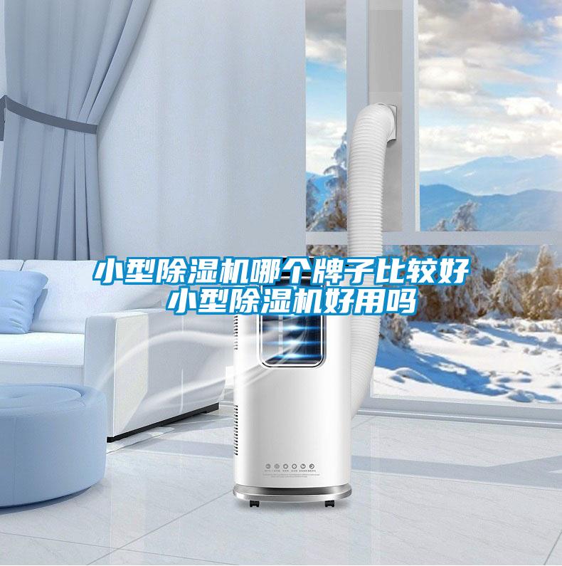 国产精品探花在线观看 小型除湿机哪个牌子比较好 小型除湿机好用吗