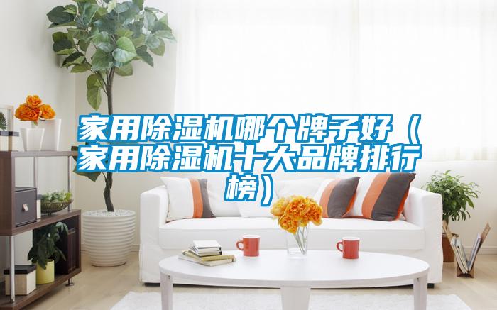 国产精品欧美激情视频 家用除湿机哪个牌子好（家用除湿机十大品牌排行榜）