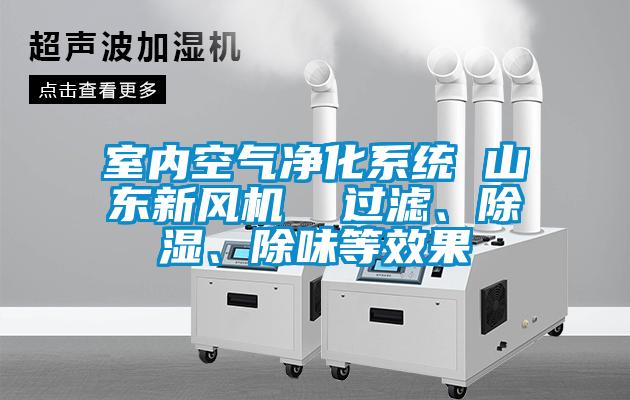 国产精品欧美激情视频 室内空气净化系统 山东新风机  过滤、除湿、除味等效果
