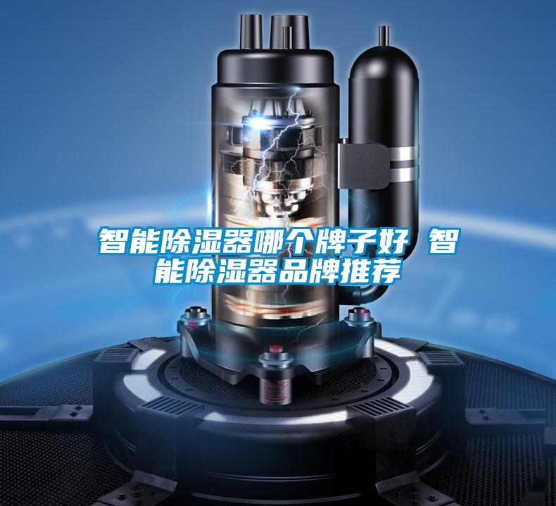 国产精品欧美激情视频 智能除湿器哪个牌子好 智能除湿器品牌推荐
