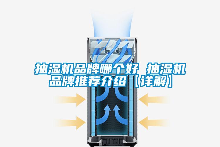 国产精品三级在线观看 抽湿机品牌哪个好 抽湿机品牌推荐介绍【详解】