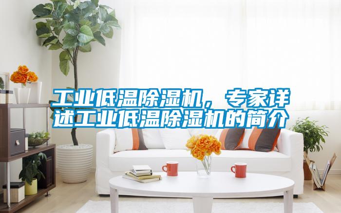国产精品欧美激情视频 工业低温除湿机，专家详述工业低温除湿机的简介