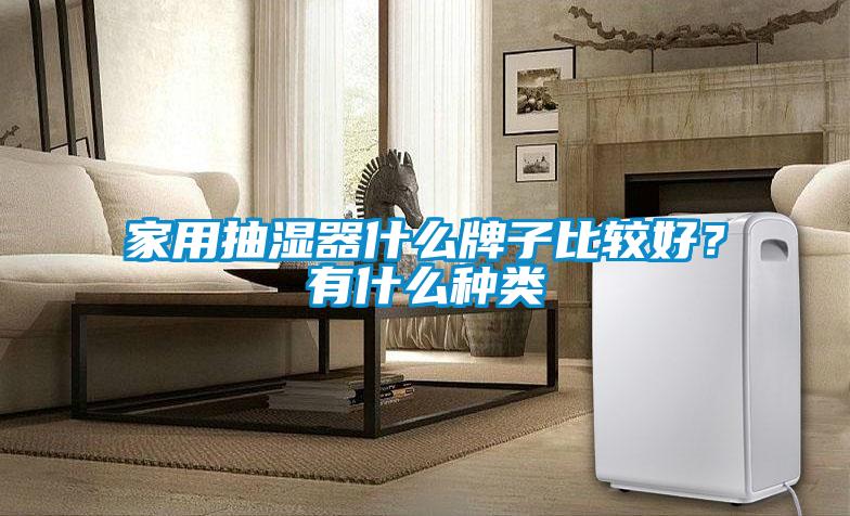 国产精品探花在线观看 家用抽湿器什么牌子比较好？有什么种类