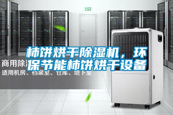 国产精品三级在线观看 柿饼烘干除湿机，环保节能柿饼烘干设备