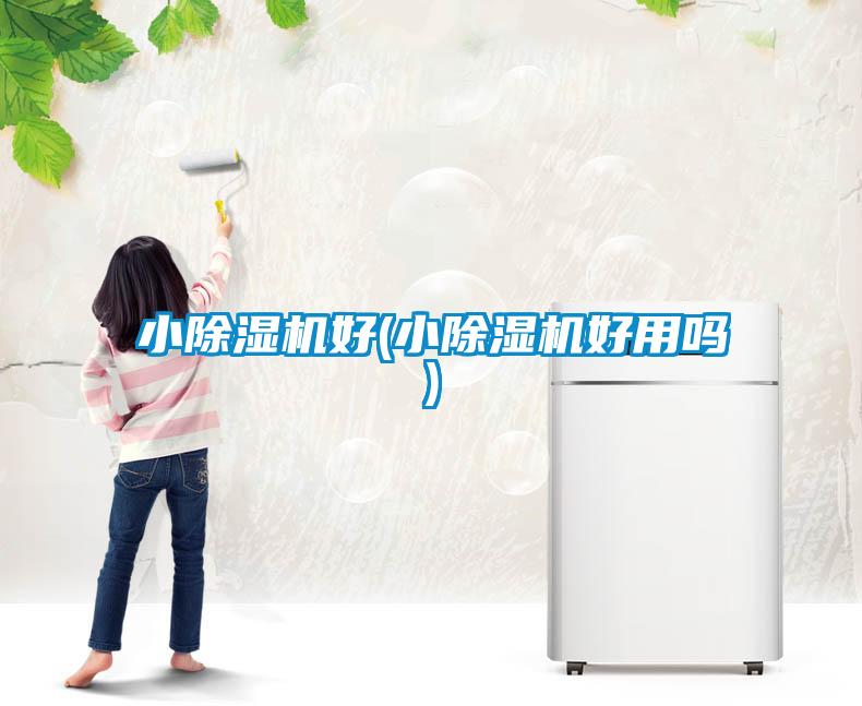 国产精品欧美激情视频 小除湿机好(小除湿机好用吗)