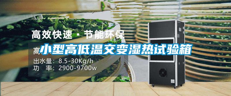 国产精品欧美激情视频 小型高低温交变湿热试验箱