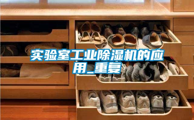 国产精品探花在线观看 实验室工业除湿机的应用_重复