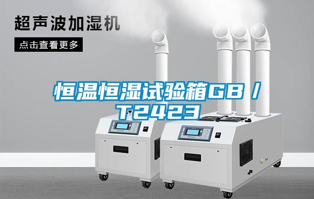 国产精品三级在线观看 恒温恒湿试验箱GB／T2423