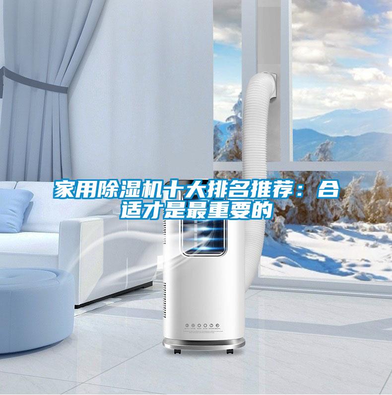 国产精品三级在线观看 家用除湿机十大排名推荐：合适才是最重要的