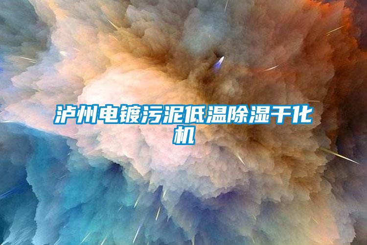 国产精品欧美激情视频 泸州电镀污泥低温除湿干化机