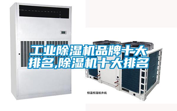 国产精品欧美激情视频 工业除湿机品牌十大排名,除湿机十大排名