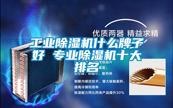 国产精品探花在线观看 工业除湿机什么牌子好 专业除湿机十大排名