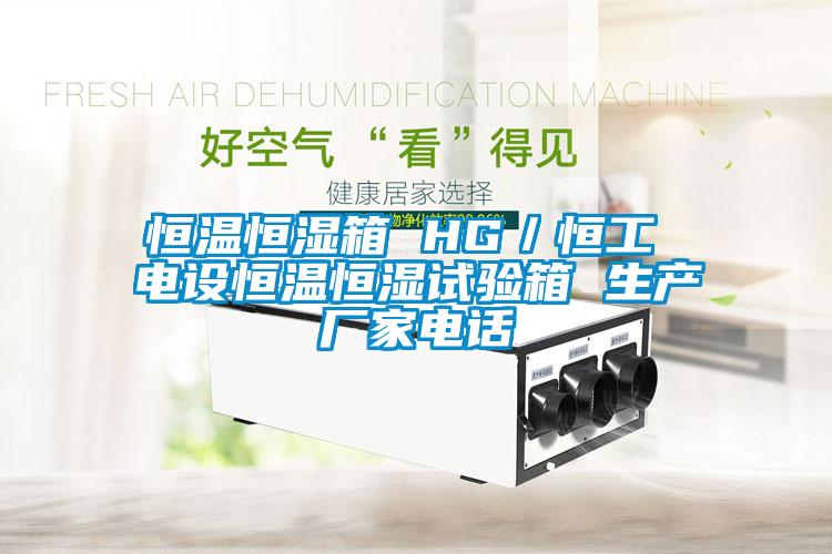国产精品欧美激情视频 恒温恒湿箱 HG／恒工 电设恒温恒湿试验箱 生产厂家电话