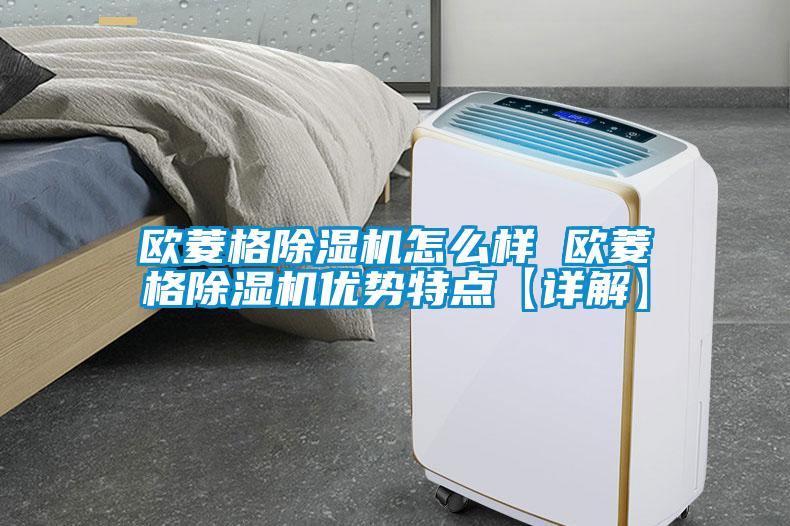 国产精品探花在线观看 欧菱格除湿机怎么样 欧菱格除湿机优势特点【详解】