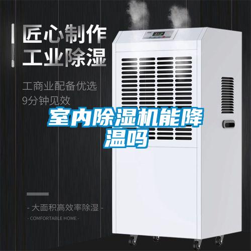 国产精品探花在线观看 室内除湿机能降温吗