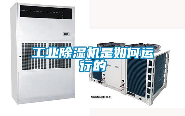 国产精品欧美激情视频 工业除湿机是如何运行的