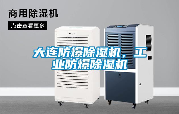 国产精品三级在线观看 大连防爆除湿机，工业防爆除湿机