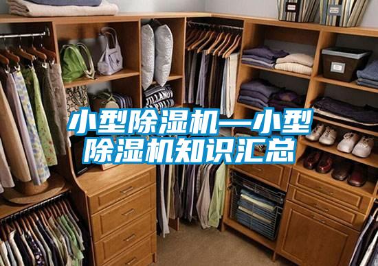 国产精品欧美激情视频 小型除湿机—小型除湿机知识汇总