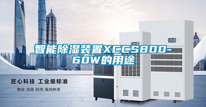 国产精品三级在线观看 智能除湿装置XCCS800-60W的用途