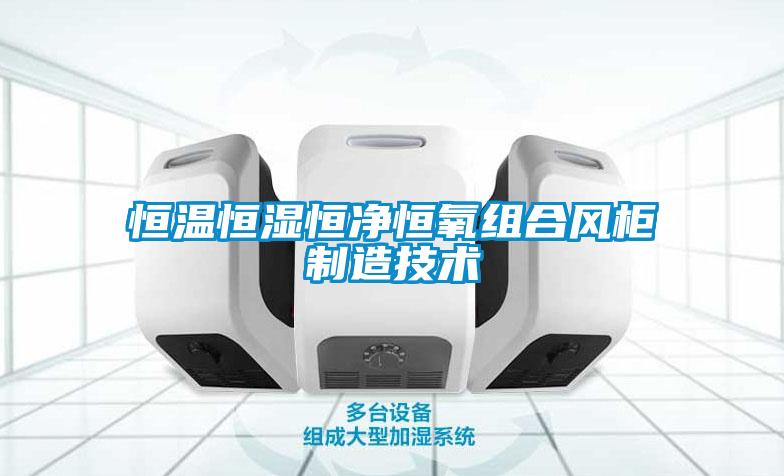 国产精品三级在线观看 恒温恒湿恒净恒氧组合风柜制造技术