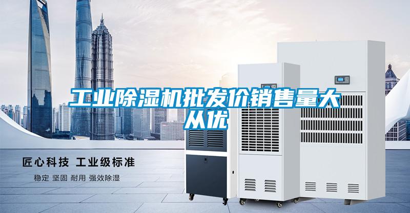 国产精品三级在线观看 工业除湿机批发价销售量大从优