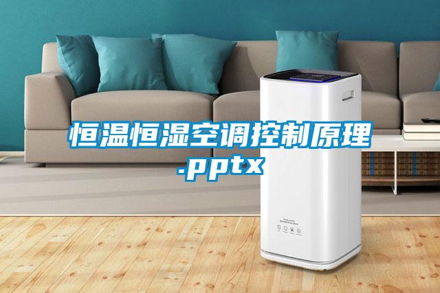 国产精品欧美激情视频 恒温恒湿空调控制原理.pptx