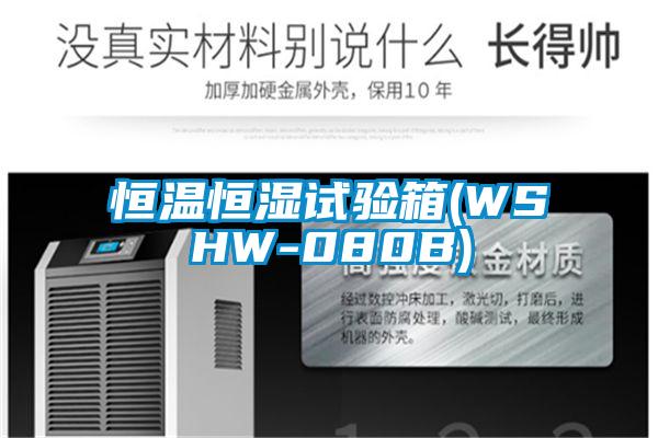 国产精品欧美激情视频 恒温恒湿试验箱(WSHW-080B)