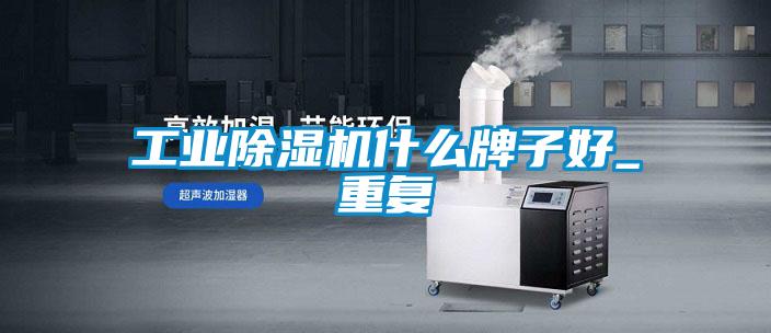 国产精品探花在线观看 工业除湿机什么牌子好_重复