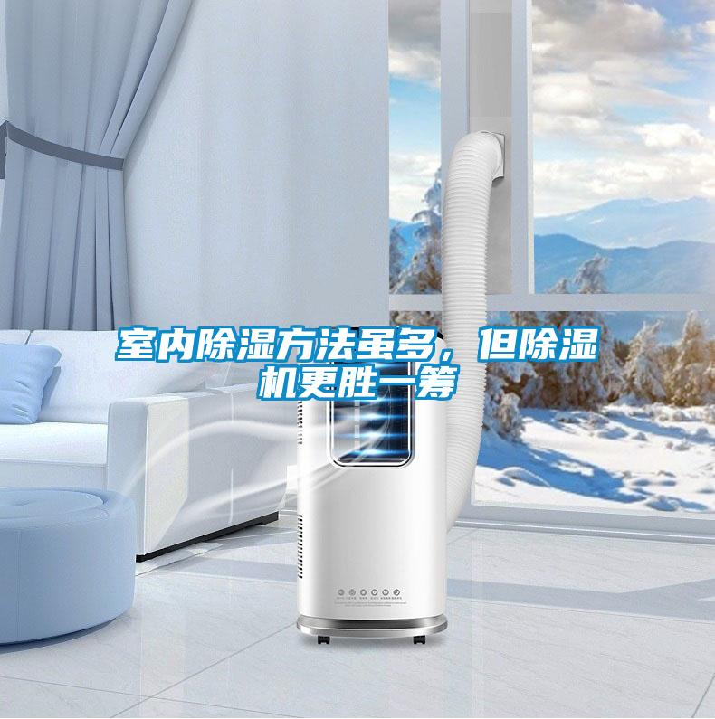 国产精品三级在线观看 室内除湿方法虽多，但除湿机更胜一筹