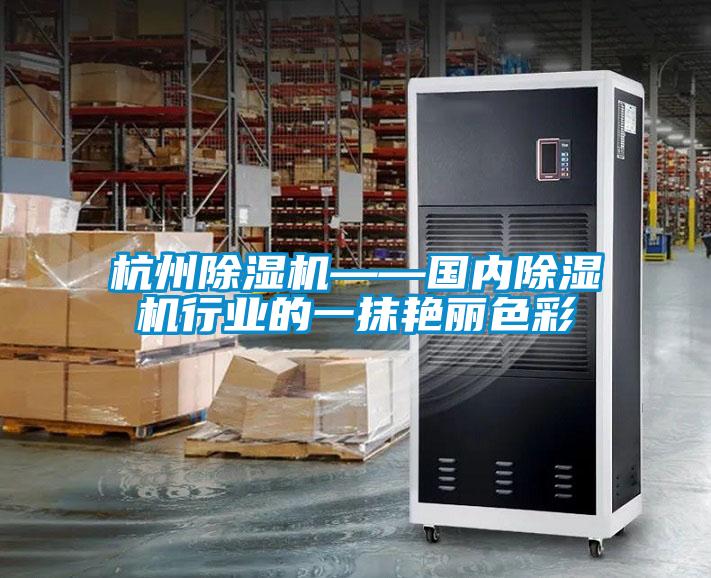 国产精品探花在线观看 杭州除湿机——国内除湿机行业的一抹艳丽色彩