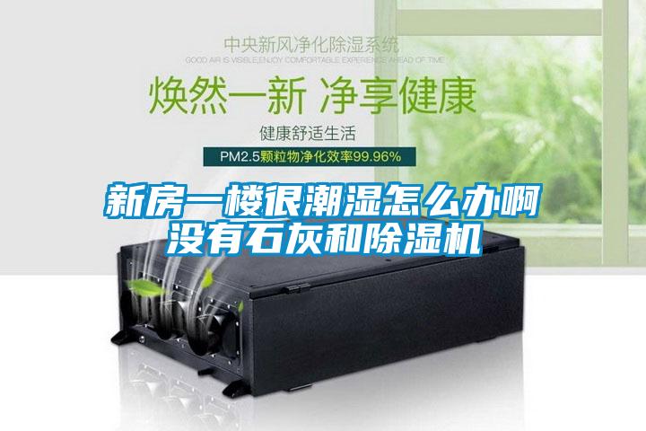国产精品三级在线观看 新房一楼很潮湿怎么办啊没有石灰和除湿机