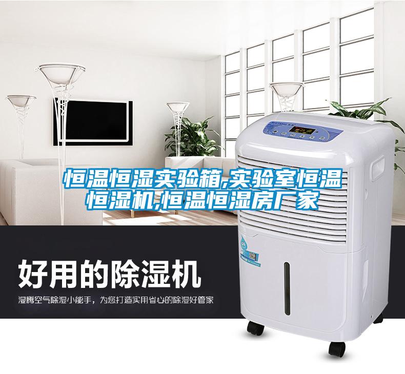 国产精品欧美激情视频 恒温恒湿实验箱,实验室恒温恒湿机,恒温恒湿房厂家