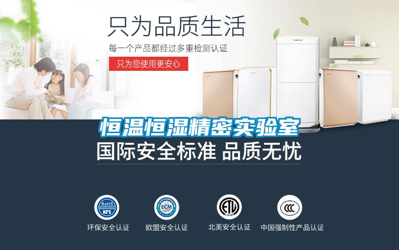 国产精品三级在线观看 恒温恒湿精密实验室