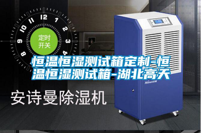 国产精品三级在线观看 恒温恒湿测试箱定制-恒温恒湿测试箱-湖北高天