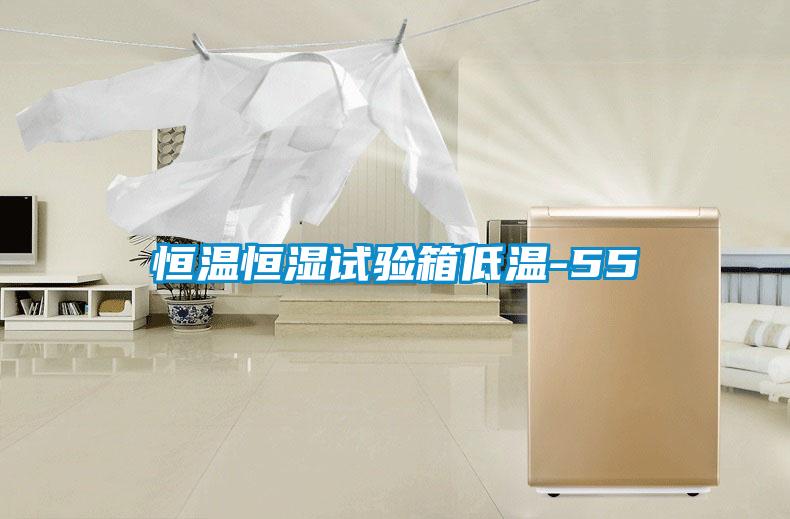 国产精品三级在线观看 恒温恒湿试验箱低温-55℃