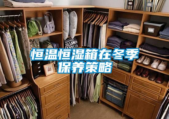 国产精品探花在线观看 恒温恒湿箱在冬季保养策略