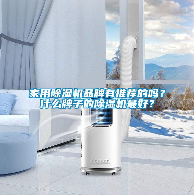 国产精品三级在线观看 家用除湿机品牌有推荐的吗？什么牌子的除湿机最好？