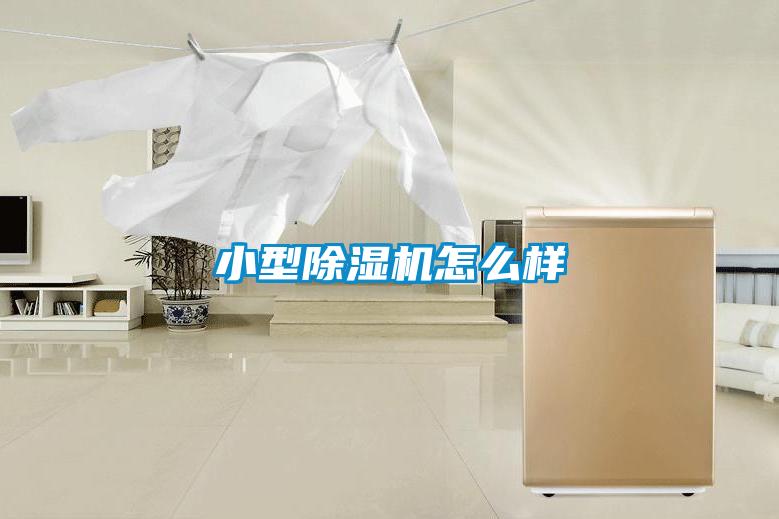 国产精品三级在线观看 小型除湿机怎么样