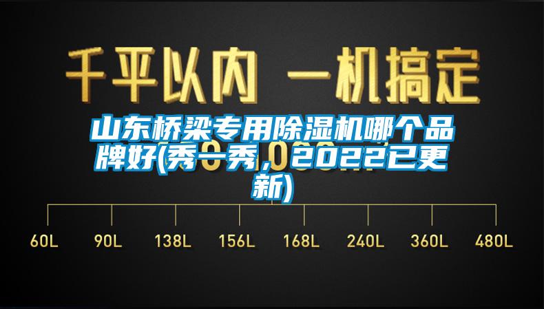 国产精品三级在线观看 山东桥梁专用除湿机哪个品牌好(秀一秀，2022已更新)