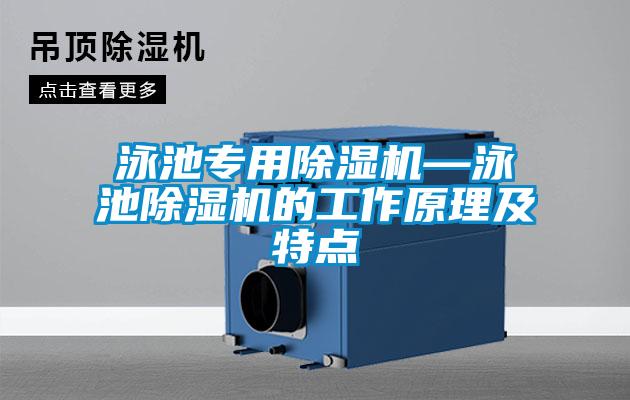 国产精品欧美激情视频 泳池专用除湿机—泳池除湿机的工作原理及特点